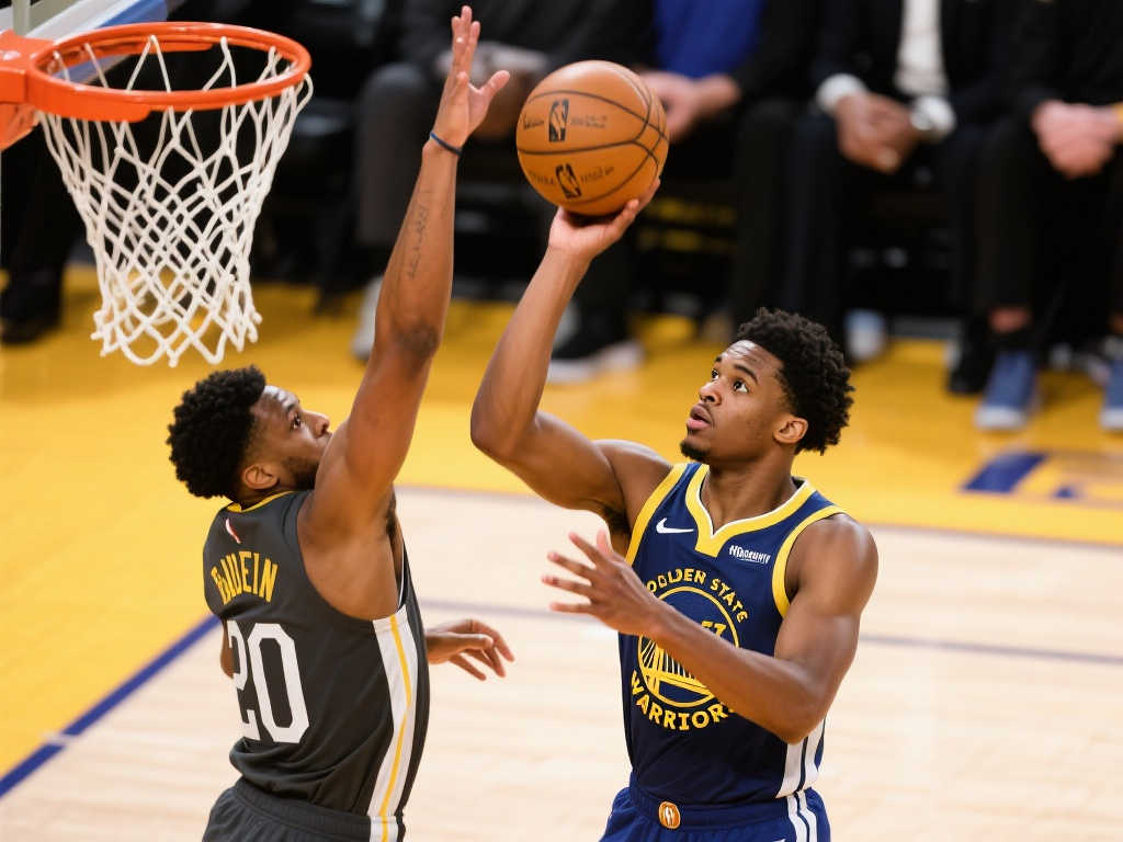 安排和裁判 安排和裁判